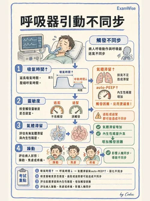 呼吸治療師 - 呼吸器監測與評估 - AI 圖文解析預覽