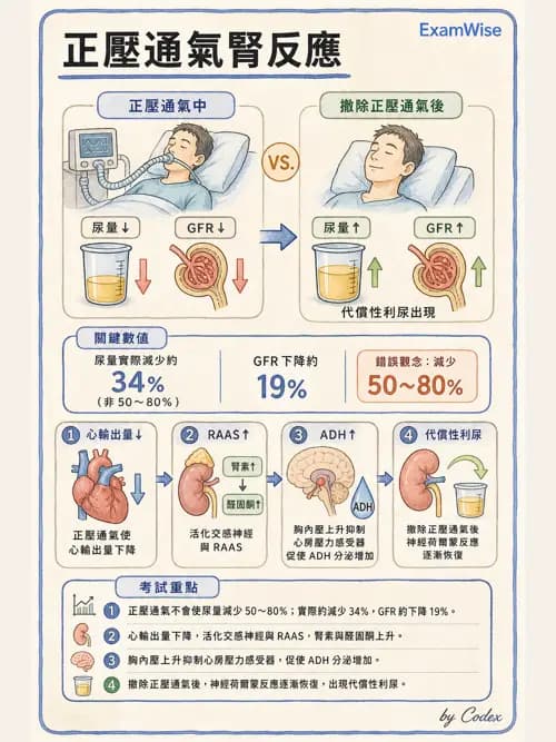 呼吸治療師 - 正壓通氣生理影響與合併症 - AI 圖文解析預覽