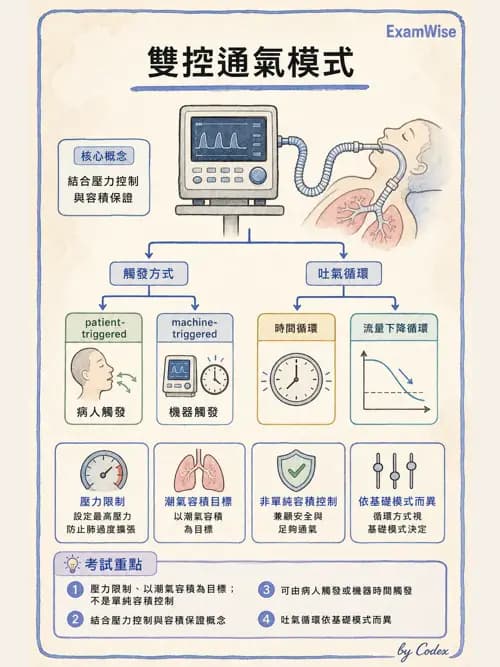 呼吸治療師 - 小兒呼吸器支持 - AI 圖文解析預覽