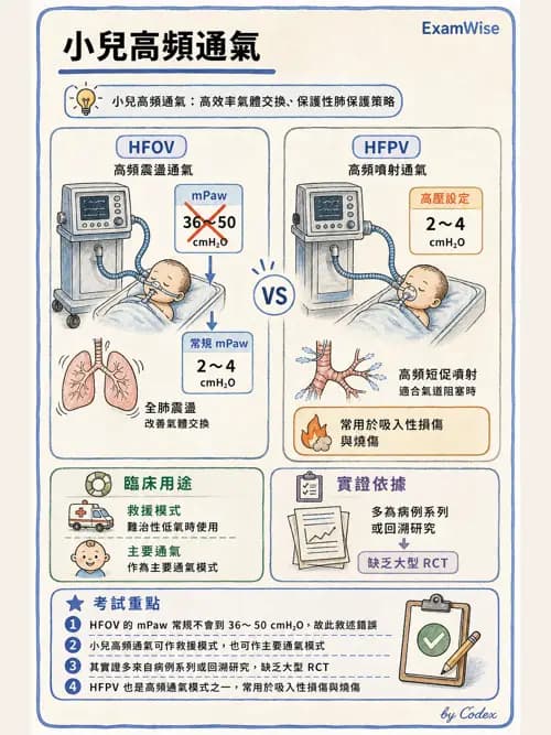 呼吸治療師 - 小兒呼吸器支持 - AI 圖文解析預覽