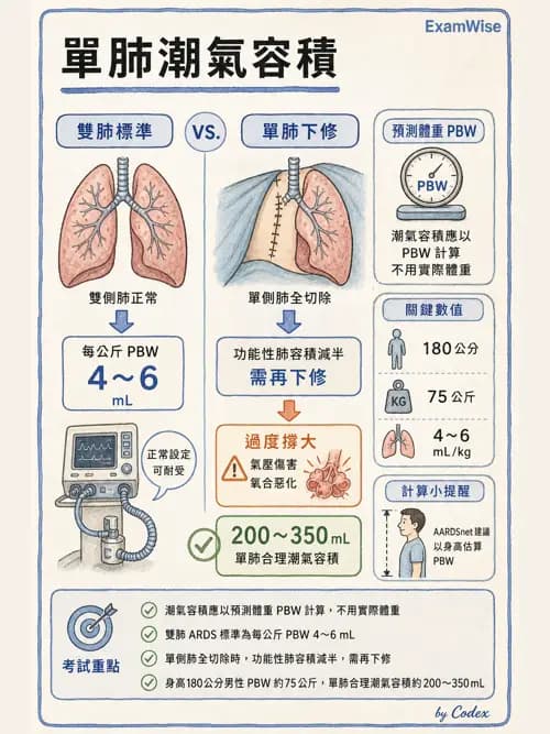 呼吸治療師 - ARDS與呼吸衰竭 - AI 圖文解析預覽