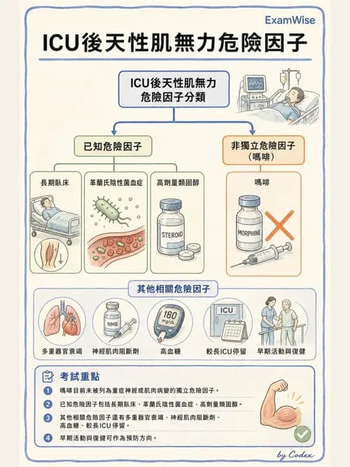 呼吸治療師 - ARDS與呼吸衰竭 - AI 圖文解析預覽