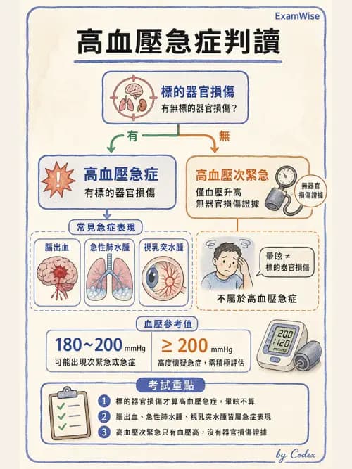 呼吸治療師 - 心臟疾病與COPD重症 - AI 圖文解析預覽