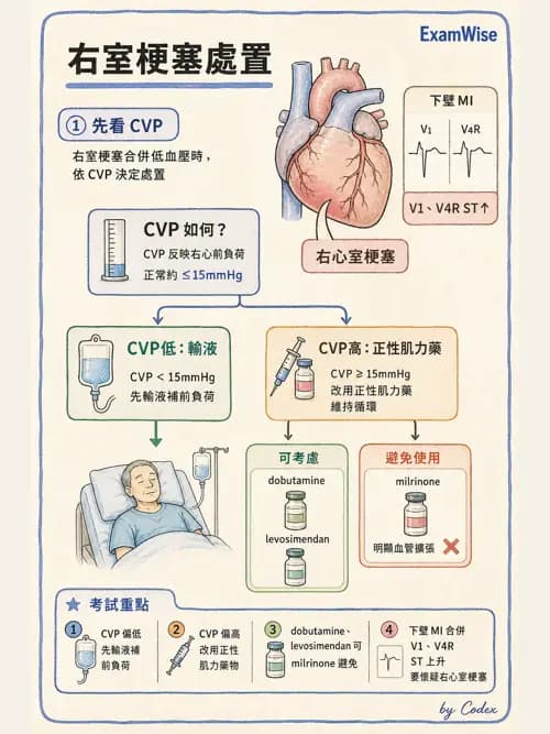 呼吸治療師 - 心臟疾病與COPD重症 - AI 圖文解析預覽