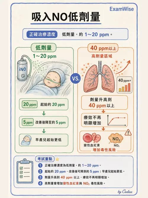 呼吸治療師 - 重症特殊處置 - AI 圖文解析預覽