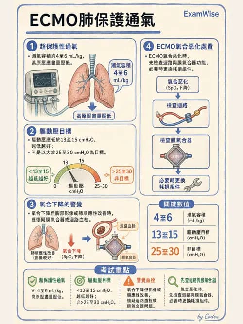 呼吸治療師 - 重症特殊處置 - AI 圖文解析預覽