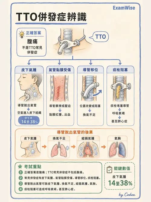 呼吸治療師 - 重症特殊處置 - AI 圖文解析預覽