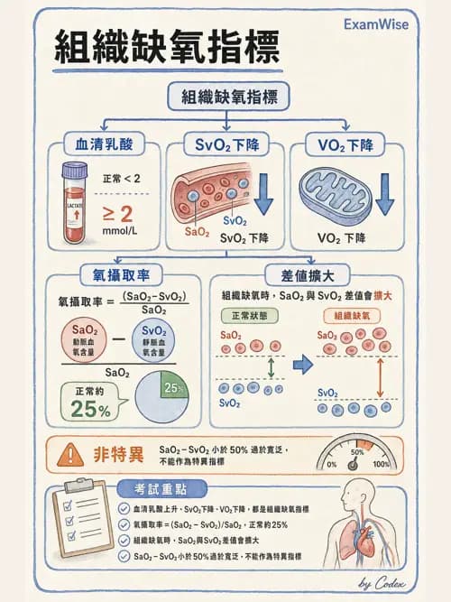 呼吸治療師 - 重症監測與判讀 - AI 圖文解析預覽