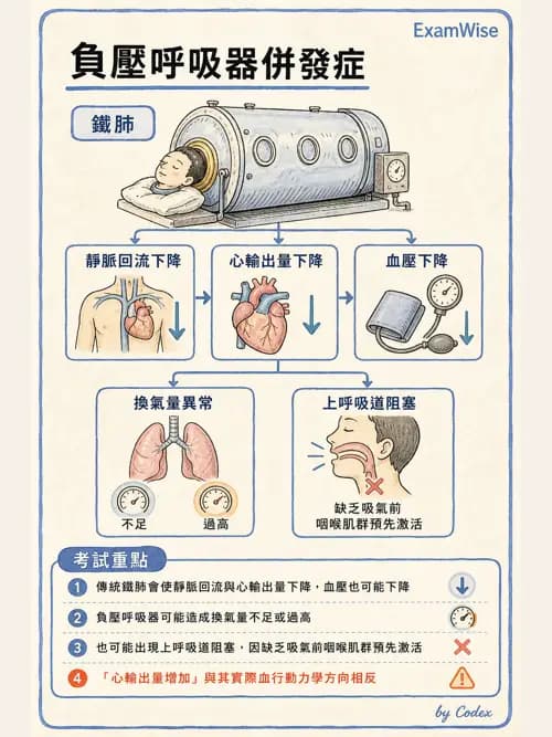 呼吸治療師 - 呼吸器併發症與感染 - AI 圖文解析預覽