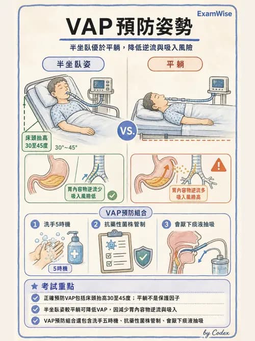 呼吸治療師 - 呼吸器併發症與感染 - AI 圖文解析預覽