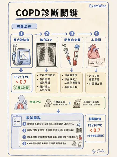 呼吸治療師 - 慢性氣道疾病 - AI 圖文解析預覽