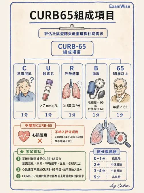 呼吸治療師 - 感染性肺疾 - AI 圖文解析預覽