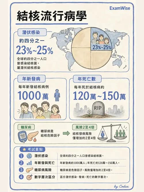 呼吸治療師 - 感染性肺疾 - AI 圖文解析預覽