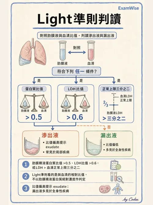 呼吸治療師 - 外力傷害與胸廓病變 - AI 圖文解析預覽