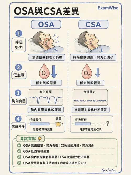 呼吸治療師 - 睡眠相關呼吸障礙 - AI 圖文解析預覽