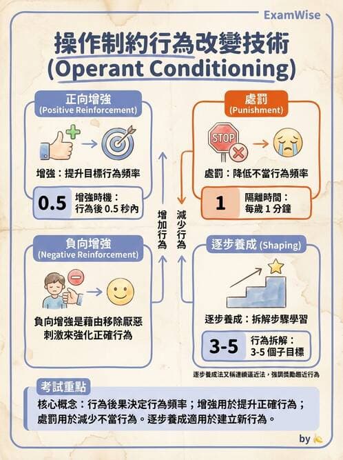 護理師 - 心理治療與團體治療 - AI 圖文解析預覽