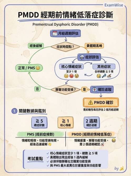 護理師 - 情感與思覺障礙綜合評估 - AI 圖文解析預覽