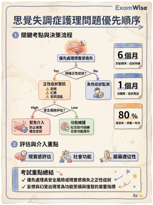 護理師 - 思覺失調症護理 - AI 圖文解析預覽