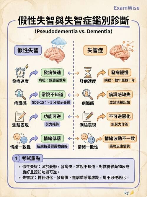 護理師 - 老年精神疾患 - AI 圖文解析預覽