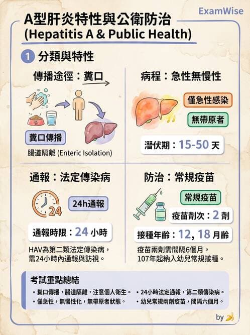 護理師 - 傳染病防治與護理 - AI 圖文解析預覽