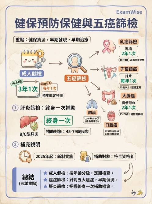 護理師 - 健康照護體系與健康政策 - AI 圖文解析預覽