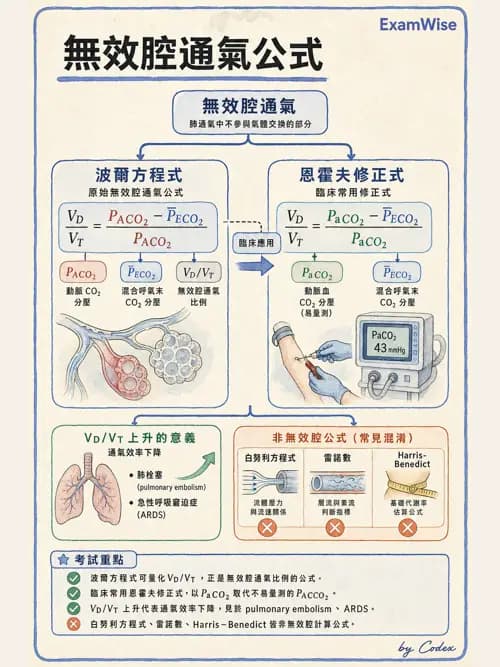 呼吸治療師 - 通氣、呼吸力學與控制 - AI 圖文解析預覽