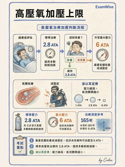 呼吸治療師 - 運動與環境生理 - AI 圖文解析預覽