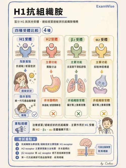 呼吸治療師 - 呼吸系統藥物 - AI 圖文解析預覽
