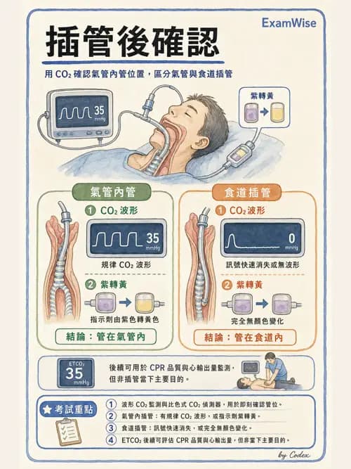 呼吸治療師 - 人工氣道處置 - AI 圖文解析預覽