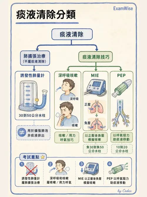 呼吸治療師 - 痰液清除與擴張治療 - AI 圖文解析預覽