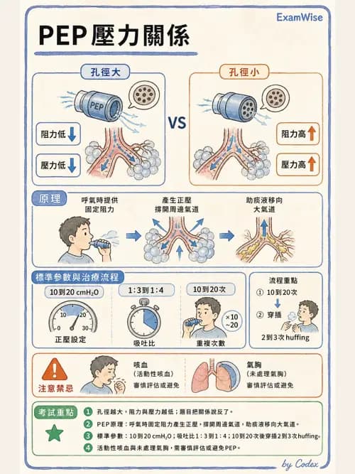 呼吸治療師 - 痰液清除與擴張治療 - AI 圖文解析預覽