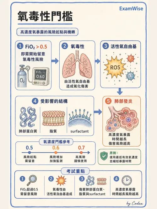 呼吸治療師 - 長期呼吸照護 - AI 圖文解析預覽