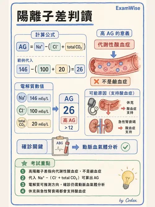 呼吸治療師 - 動脈血液氣體分析與氧合評估 - AI 圖文解析預覽