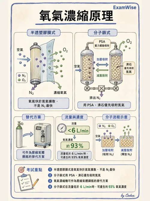 呼吸治療師 - 氣體輸送系統與氧氣治療 - AI 圖文解析預覽