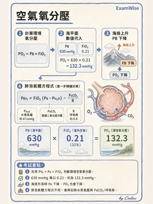 呼吸治療師 - 氣體物理學 - AI 圖文解析預覽