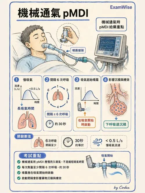 呼吸治療師 - 吸入性藥物噴霧設備 - AI 圖文解析預覽