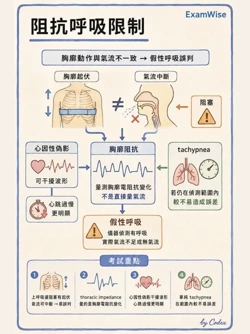 呼吸治療師 - 呼吸機械力學監測 - AI 圖文解析預覽