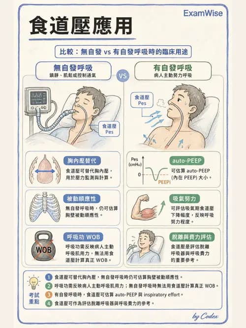 呼吸治療師 - 呼吸機械力學監測 - AI 圖文解析預覽