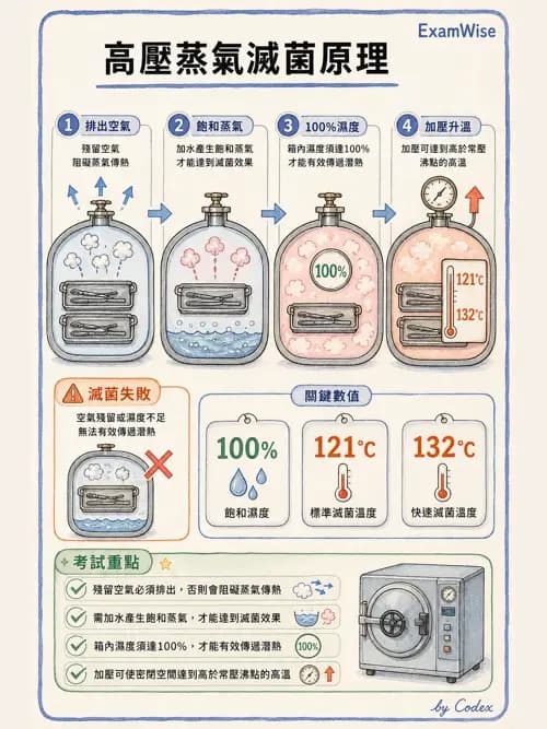 呼吸治療師 - 呼吸照護設備消毒 - AI 圖文解析預覽