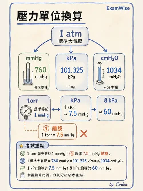 呼吸治療師 - 機械通氣生理 - AI 圖文解析預覽