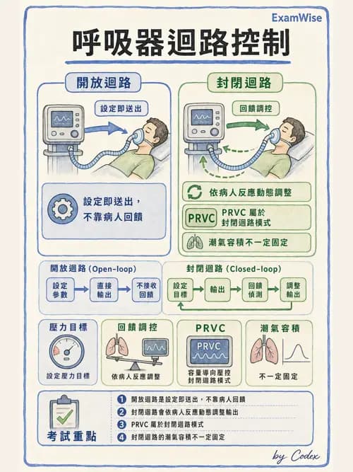 呼吸治療師 - 呼吸器設計與通氣模式 - AI 圖文解析預覽