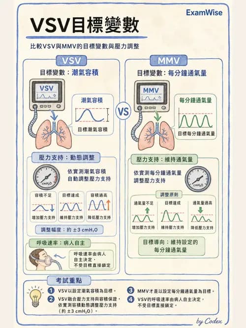 呼吸治療師 - 呼吸器設計與通氣模式 - AI 圖文解析預覽
