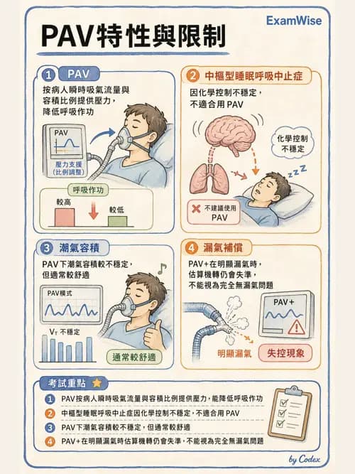 呼吸治療師 - 呼吸器設計與通氣模式 - AI 圖文解析預覽