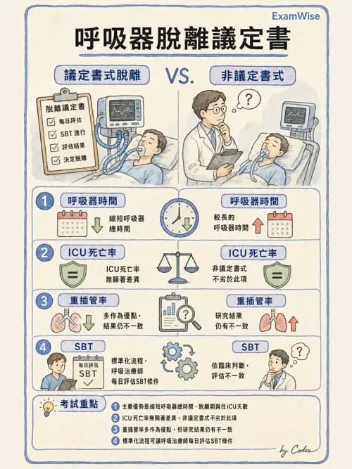 呼吸治療師 - 臨床設定、參數調整與脫離 - AI 圖文解析預覽