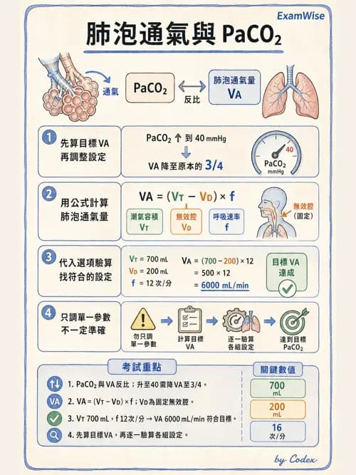 呼吸治療師 - 臨床設定、參數調整與脫離 - AI 圖文解析預覽