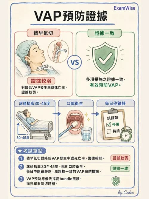 呼吸治療師 - 正壓通氣生理影響與合併症 - AI 圖文解析預覽