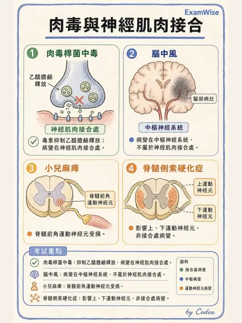 呼吸治療師 - 術後與其他呼吸重症 - AI 圖文解析預覽