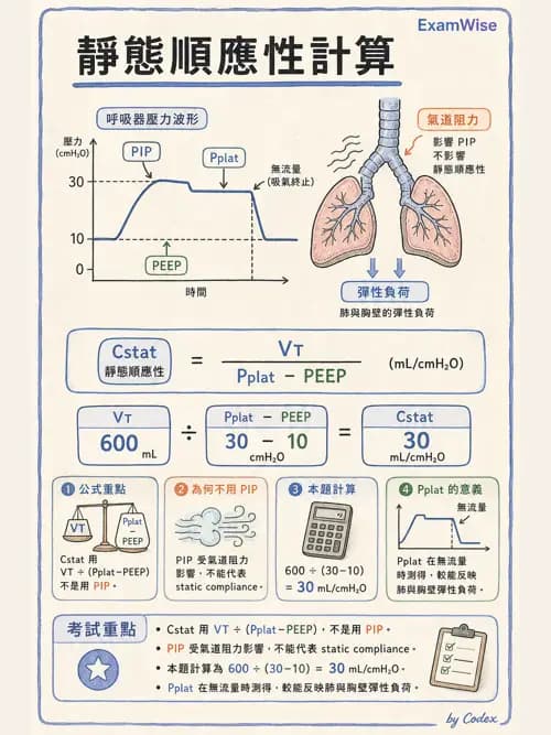 呼吸治療師 - 重症監測與判讀 - AI 圖文解析預覽