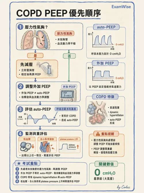 呼吸治療師 - 心臟疾病與COPD重症 - AI 圖文解析預覽