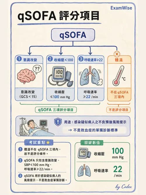 呼吸治療師 - 休克、敗血症與多器官衰竭 - AI 圖文解析預覽